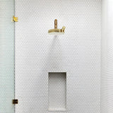 Brushed Gold ABS Shower Head - www.shopshowerclear.com